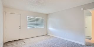 Rise Desert West Gallery 53