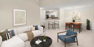 Walden Ridge Gallery 3