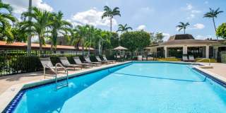 Legacy at the Palms Gallery 5