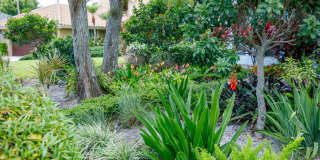 900 Cosmos Court Gallery 3