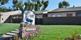 Shoreline Apartments Gallery 7