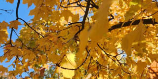 78 53RD Place SE Gallery 5