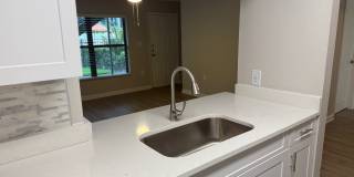 Palms of Clearwater Gallery 58