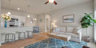 Sunscapes Gallery 2