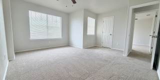 1146 KITE COR Gallery 22