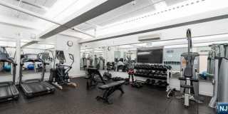 250 Gorge Road Gallery 14