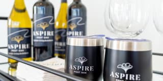 Aspire Post Oak Gallery 24