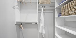 The Galaxy at Polaris Gallery 116