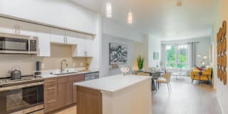 Edition Apartments Gallery 40