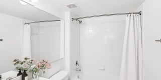 Palm Trace Landings Gallery 67