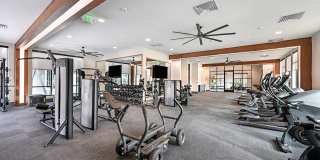 Haven 8181 Gallery 21
