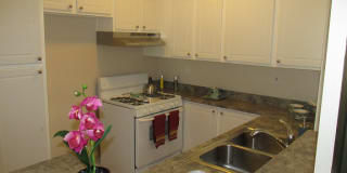 Brighton Vista Apartments Gallery 8