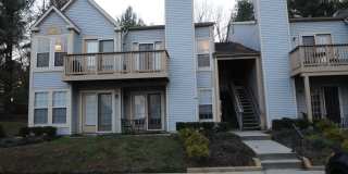 4704 DORSEY HALL Drive Gallery 1