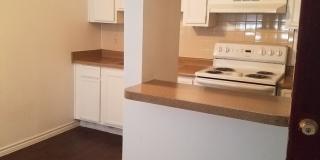 Forest Ridge Gallery 37