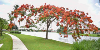 11077 Longboat Drive Gallery 15