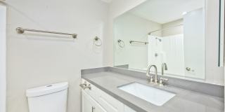 THE MODERN CACTUS Gallery 36