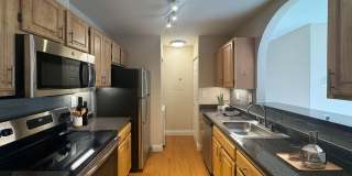 Katahdin Woods Gallery 14