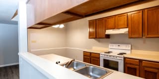 Forest Village on the Greenway Gallery 13