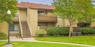 Citrus Place Gallery 50