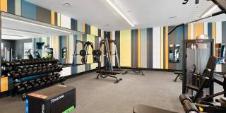 The Laura Gallery 24