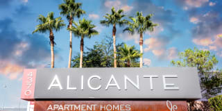 Alicante Gallery 14