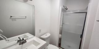 3 Bed 2 Bath in Hyde Park with Huge Yard Gallery 9