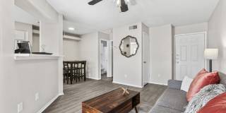 Polo Club Polo Club Gallery 3