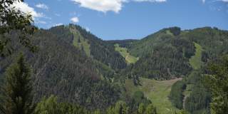 335 Vine Street unit: 335 Gallery 24