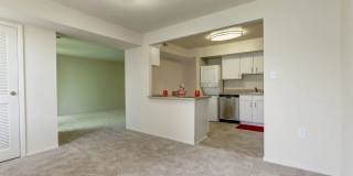 Mayfair House Apartments Gallery 6