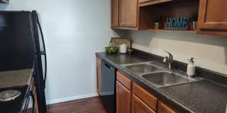 Woods of Castleton Gallery 7