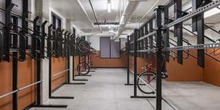 Orlo & Alba Gallery 29