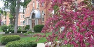 Skidmore Apartments Gallery 45