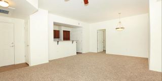 Raintree Apartments Gallery 12