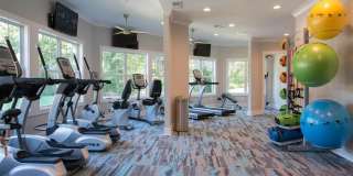 The Edison Apartments Gallery 9