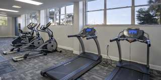 The Indigo Gallery 9