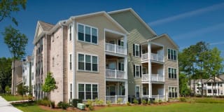 Element Carolina Bay Element Carolina Bay Gallery 42