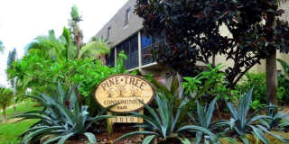 1010 Pine Tree Dr #204 Gallery 1