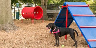 The Boulevard Gallery 30