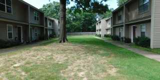 2 Bed 1.5 Bath Condo Gallery 1