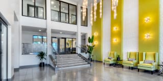 The Lex The Lex Gallery 5