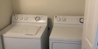 The Palms Gallery 14