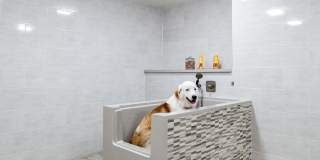 Hanover Brazos Street Hanover Brazos Street Gallery 17