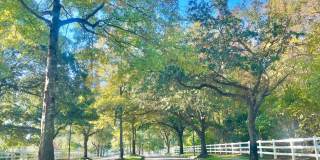 Spacious 4 Bedroom Home on Cul-de-sac in Castleton Virginia Beach! Gallery 42