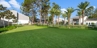 27 Seventy Five Mesa Verde Gallery 4