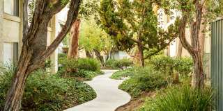 Village Pointe Gallery 3