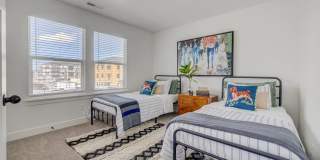 Mt. Rainier Gallery 29