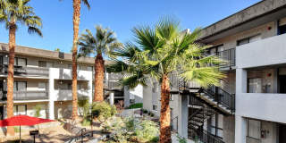 Evoq Apartment Homes Gallery 19