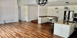 27672 Nopales Gallery 2