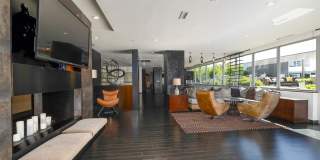 Lex and Leo at Waterfront Station Gallery 30