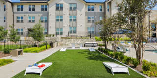 Bluestem at Loyola Gallery 27